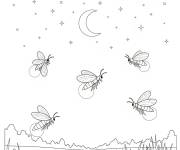 Coloriage Vue de Lucioles dans le ciel nocturne