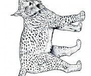 Coloriage et dessins gratuit Lynx maternelle à imprimer