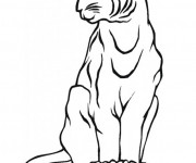 Coloriage Lynx simple