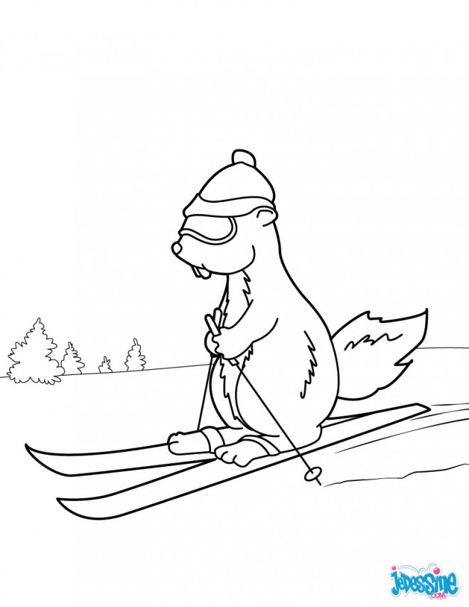 Coloriage et dessins gratuits Marmotte fait du Ski à imprimer
