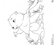 Coloriage Marmotte montagne