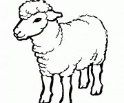 Coloriage Mouton A Imprimer Gratuit