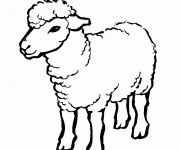 Coloriage et dessins gratuit Mouton couleur à imprimer