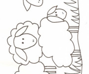 Coloriage Mouton simple