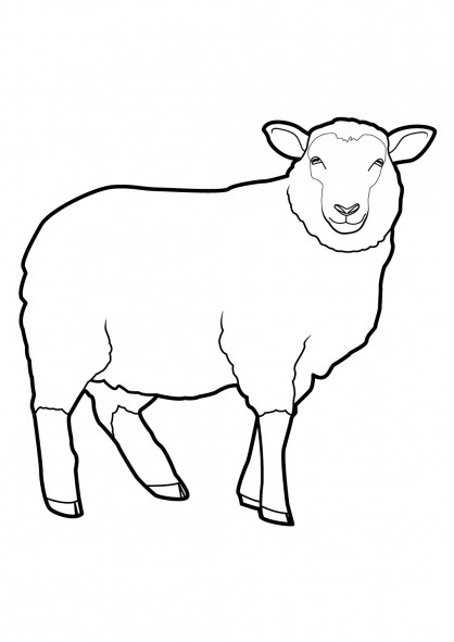 Coloriage Tete De Mouton
