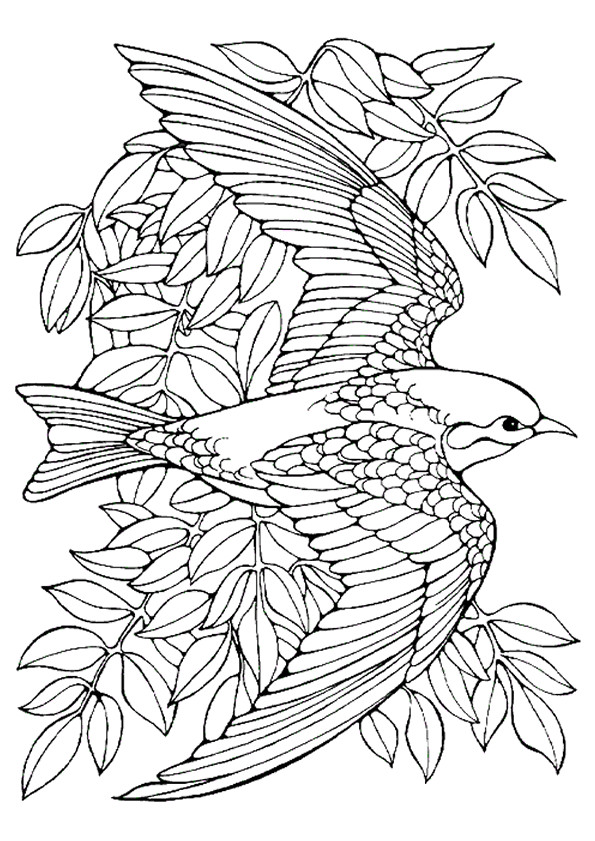 Coloriage Oiseau en vol dessin gratuit à imprimer