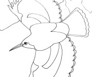 Coloriage et dessins gratuit Oiseau qui vole à imprimer