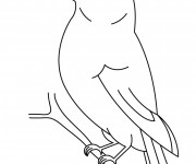 Coloriage Oiseau Simple Dessin Gratuit à Imprimer