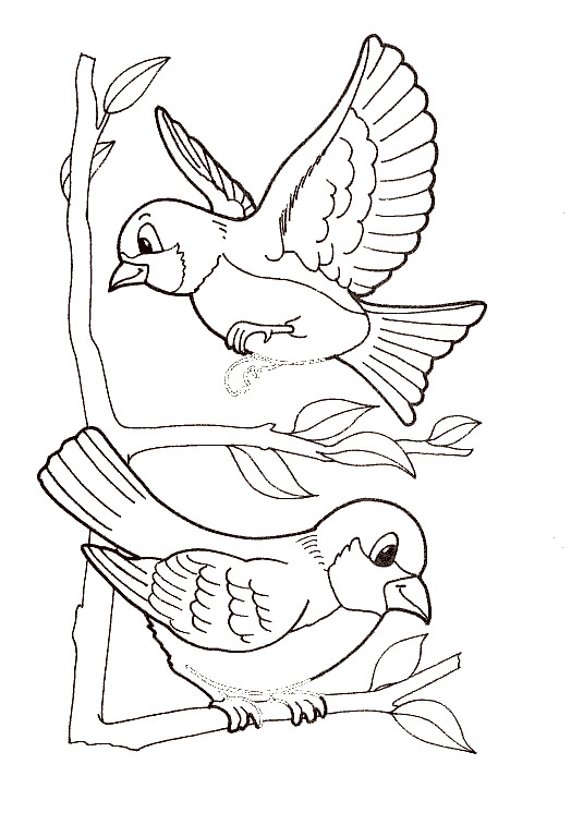 Coloriage Oiseaux Exotiques Dessin Gratuit à Imprimer