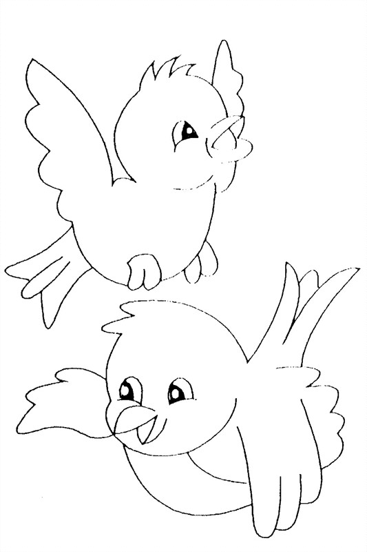 Image de Oiseau Dessin Oiseau Facile Qui Vole