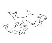 Coloriage et dessins gratuit Famille d'orque facile à imprimer