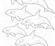 Coloriage Groupe d'orques