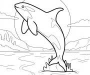 Coloriage Illustration d'orque devant le soleil