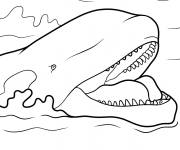 Coloriage Illustration d'orque r&eacute;aliste