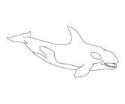 Coloriage et dessins gratuit Image Orque facile à imprimer