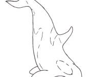 Coloriage et dessins gratuit Orque au crayon à imprimer