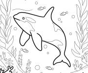 Coloriage Orque avec des poissons sous l'oc&eacute;an