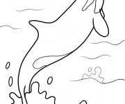 Coloriage Orque bondissant hors de la mer
