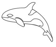 Coloriage et dessins gratuit Orque en clipart à imprimer