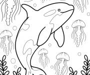 Coloriage Orque entour&eacute;e de m&eacute;duses