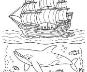 Coloriage Orque et bateau