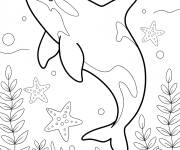 Coloriage Orque et cr&eacute;atures du fond marin