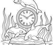Coloriage Orque et le monde des mers