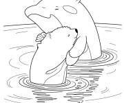 Coloriage Orque et ours polaire dans la piscine
