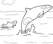 Coloriage Orque m&egrave;re avec son b&eacute;b&eacute;