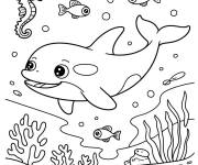 Coloriage Orque nageant sous l'eau