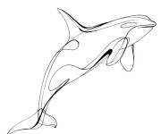 Coloriage Orque pour adulte