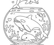Coloriage Orques et des dauphins dans un aquarium