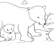 Coloriage Grizzly et ses petits