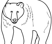 Coloriage et dessins gratuit Ours géant à imprimer