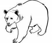 Coloriage et dessins gratuit Ours Grizzly à imprimer