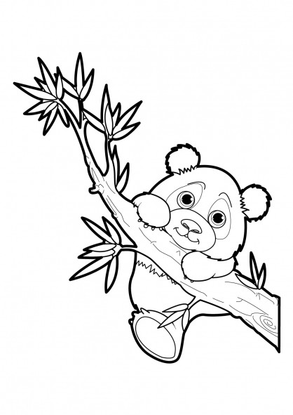 Coloriage et dessins gratuits Bébé Panda sur l'arbre à imprimer