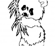 Coloriage Panda à télécharger