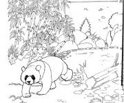 Coloriage Panda dans le Zoo