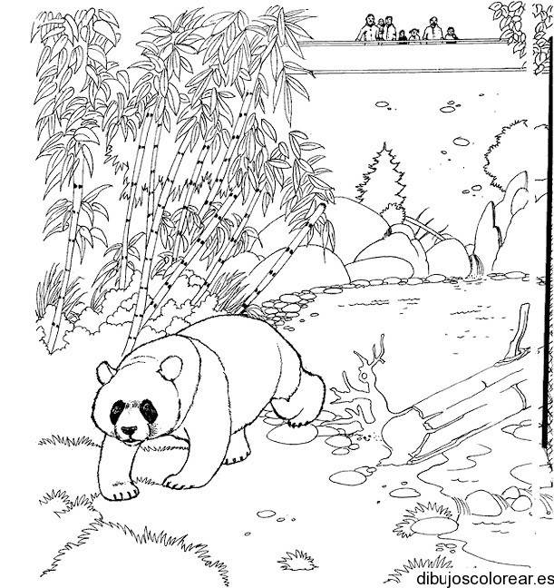 Coloriage et dessins gratuits Panda dans le Zoo à imprimer