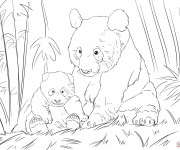 Coloriage Panda et son bébé dans la forêt