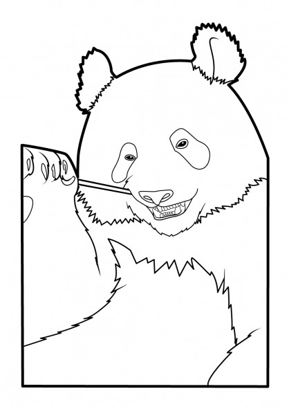 Coloriage et dessins gratuits Panda nettoie ses dents à imprimer