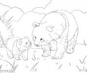 Coloriage Père Panda et son fils