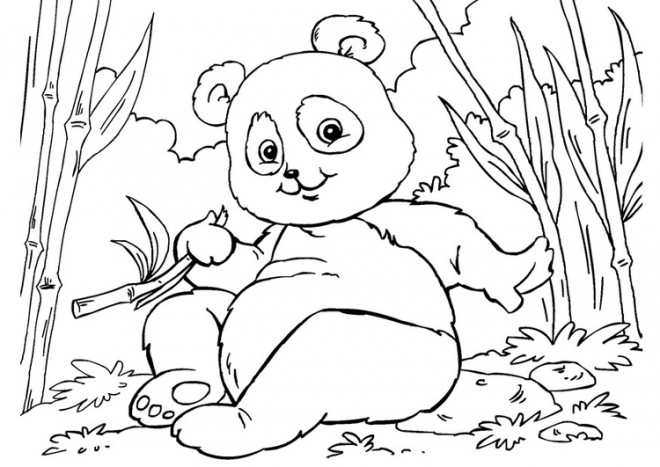 Dessin Bebe Panda A Imprimer