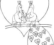 Coloriage Amour de Paon et paonne