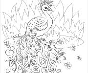 Coloriage Beau paon imprimable