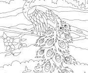 Coloriage Beau paon sous les rayons de soleil