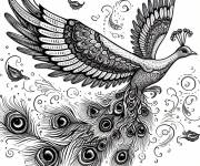 Coloriage Beau paon vole