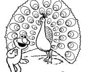 Coloriage Elmo et un beau paon