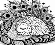 Coloriage et dessins gratuit Le beau paon a besoin de dormir à imprimer