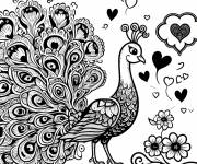 Coloriage et dessins gratuit Le paon adulte se sent amoureux à imprimer